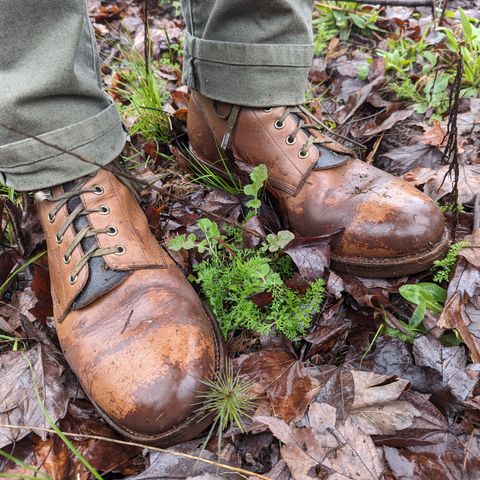 Oak Street Bootmakers Field Boot in Horween Natural Chromexcel
