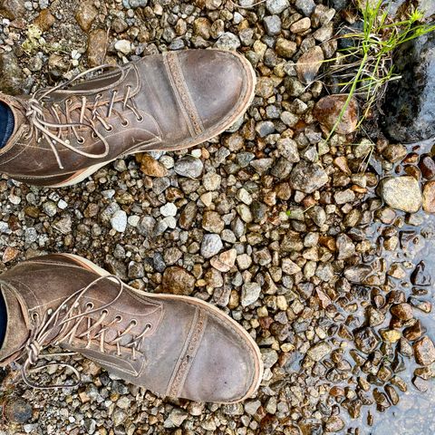 White's MP-Sherman Toe Cap in Horween Olive Waxed Flesh