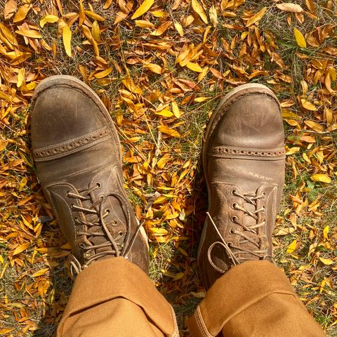 White's MP-Sherman Toe Cap in Horween Olive Waxed Flesh