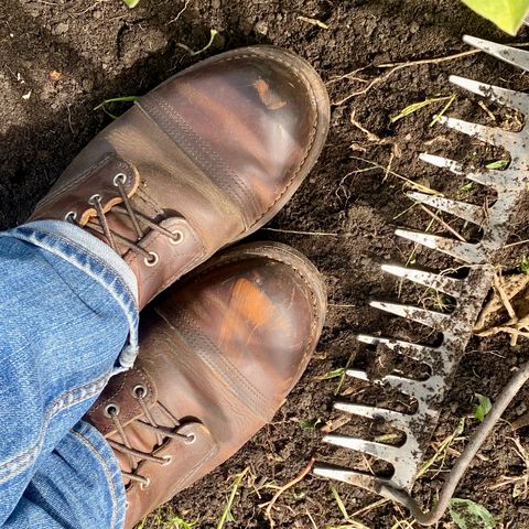 Red Wing Iron Ranger in S.B. Foot Copper Rough and Tough