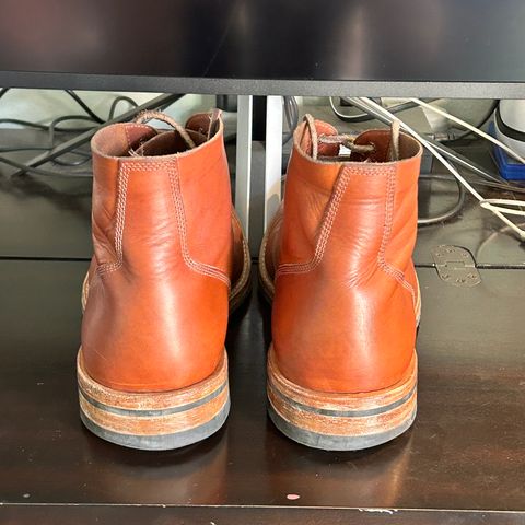 Oak Street Bootmakers Field Boot in Tempesti Brown Elbamatt Liscio