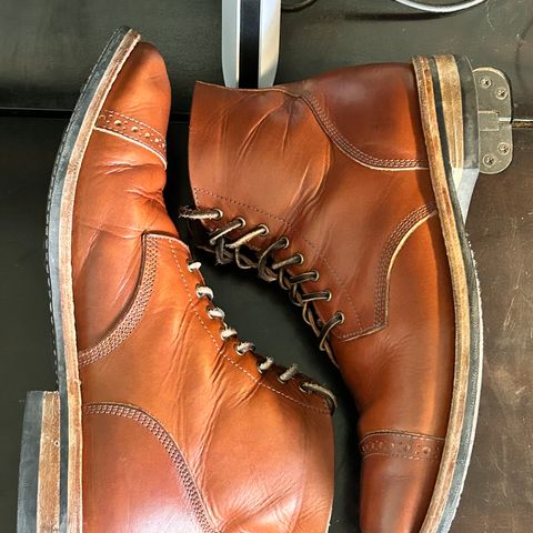 Oak Street Bootmakers Field Boot in Tempesti Brown Elbamatt Liscio