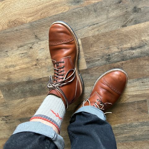 Oak Street Bootmakers Field Boot in Tempesti Brown Elbamatt Liscio