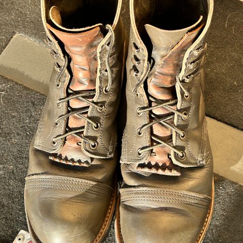 Red Wing Iron Ranger in S.B. Foot Alpine Portage