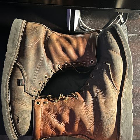 Thorogood 8" Plain Toe in Tobacco Gladiator Oil-Tanned