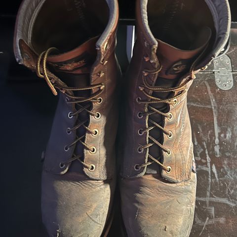 Search result thumbnail of Thorogood 8" Plain Toe in Tobacco Gladiator Oil-Tanned