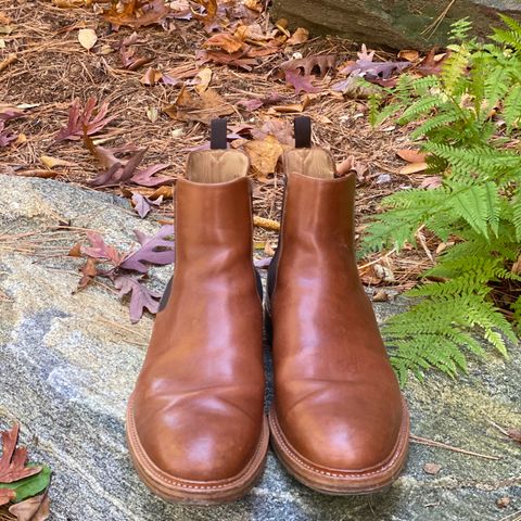 Rider Boot Co. Fritz in Maryam Toscanello Horsebutt