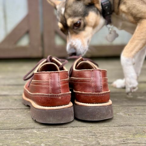 View photo of Russell Moccasin Co. Fishing Oxford in Seidel British Tan Double Shot