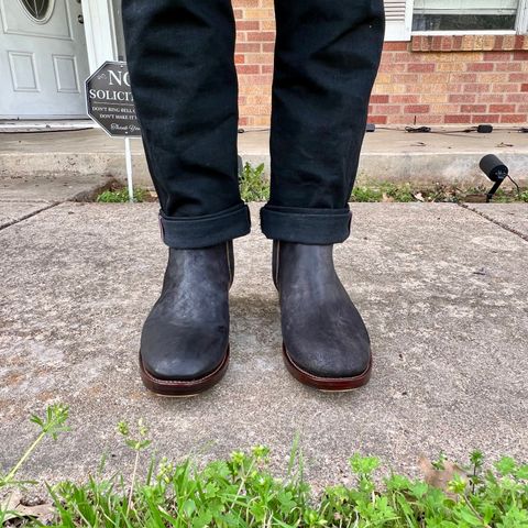 Fortis Antasena in Maryam Andrea Reverse Overdye