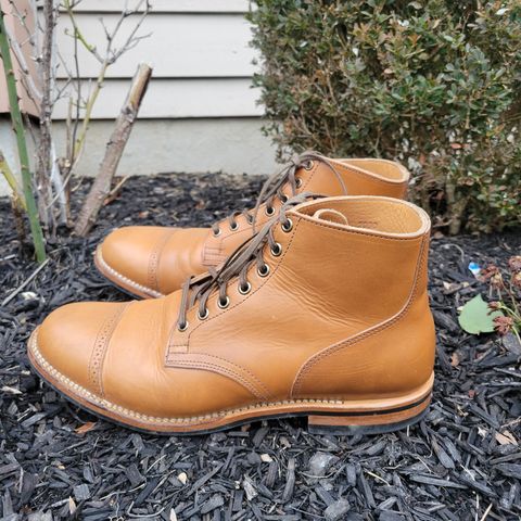 Viberg Service Boot BCT in Horween Bourbon Horsebutt