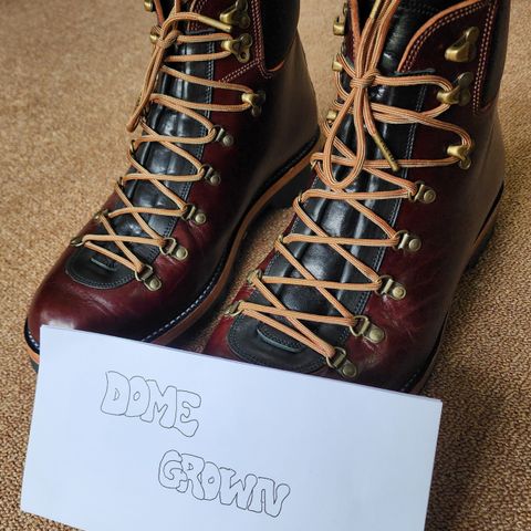 Fortis Hugo in Shinki Burgundy Oiled Horsebutt