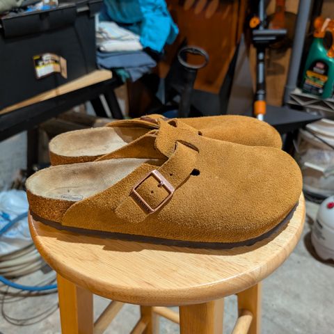Birkenstock Boston in Mink Suede
