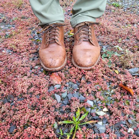 Viberg 145 Oxford in Horween Natural Essex Workshoe Butt