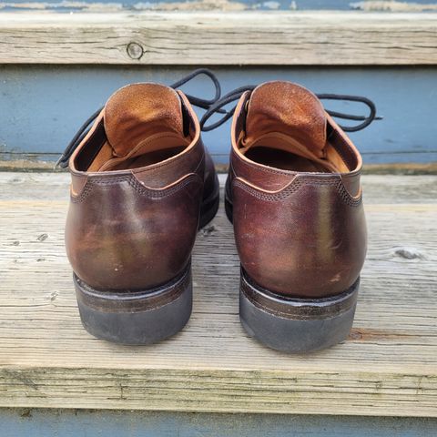 Onderhoud LVL01 Derby Boot in Badalassi Carlo Cognac Minerva