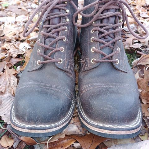 Nicks Charley in Seidel 1964 Brown Roughout