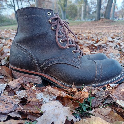 Nicks Charley in Seidel 1964 Brown Roughout