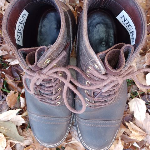 Nicks Charley in Seidel 1964 Brown Roughout