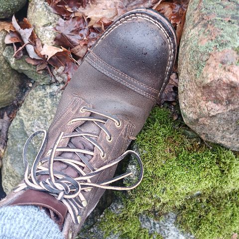 Nicks Charley in Seidel 1964 Brown Roughout