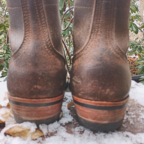 Nicks Charley in Seidel 1964 Brown Roughout