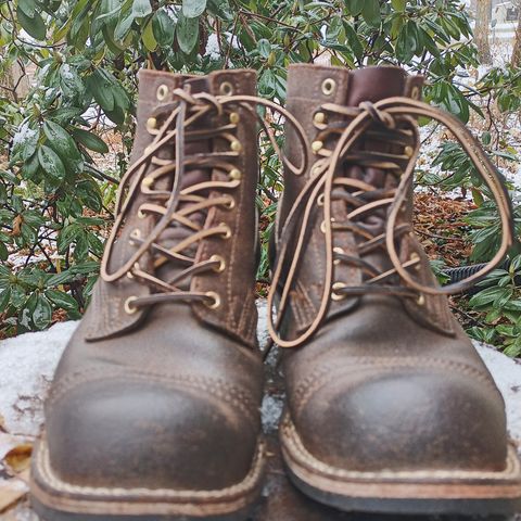 Nicks Charley in Seidel 1964 Brown Roughout
