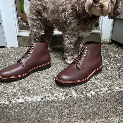 Alden Plain Toe Boot in Dark Brown Pegasus Calf