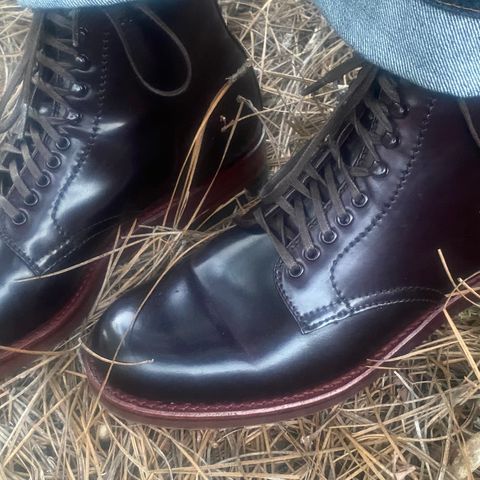 Alden Plain Toe Boot in Horween Color 8 Shell Cordovan