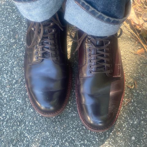 Alden Plain Toe Boot in Horween Color 8 Shell Cordovan