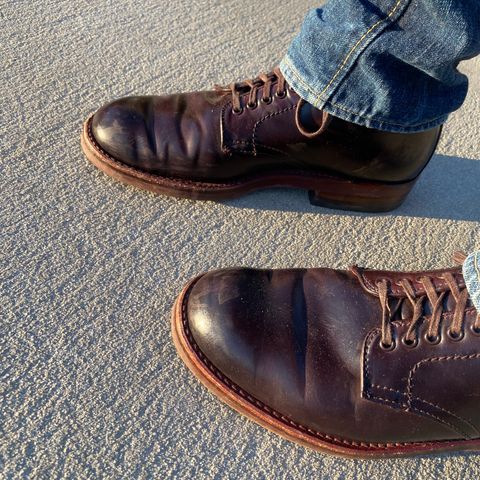 Alden Plain Toe Boot in Horween Color 8 Shell Cordovan