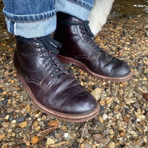 Alden Plain Toe Boot in Horween Color 8 Shell Cordovan