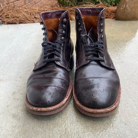 Alden Plain Toe Boot in Horween Color 8 Shell Cordovan