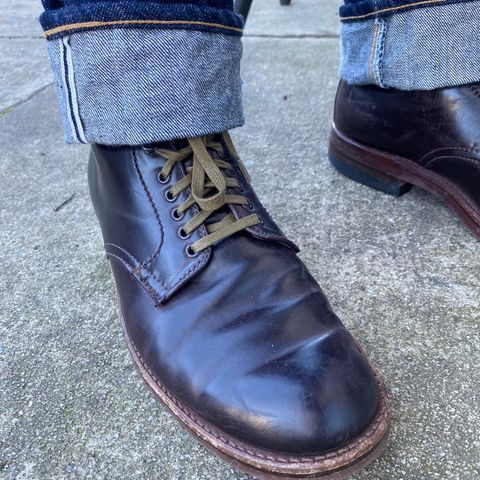 Alden Plain Toe Boot in Horween Color 8 Shell Cordovan