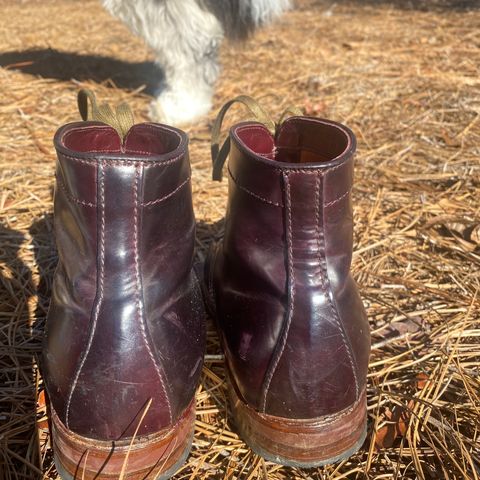 Alden Plain Toe Boot in Horween Color 8 Shell Cordovan