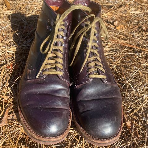 Alden Plain Toe Boot in Horween Color 8 Shell Cordovan