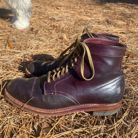 Alden Plain Toe Boot in Horween Color 8 Shell Cordovan