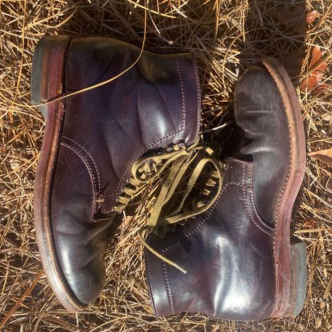 Alden Plain Toe Boot in Horween Color 8 Shell Cordovan