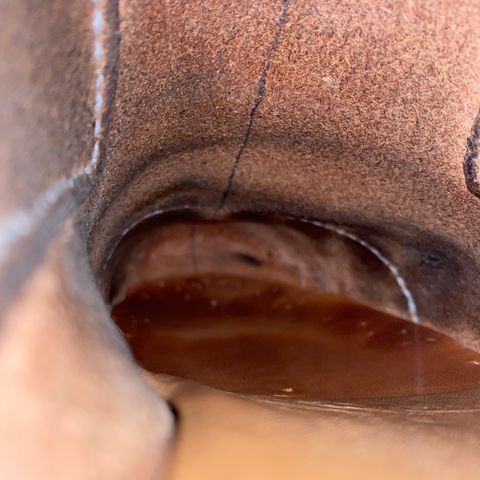 Thurmont Leather Company Munson Engineer in Unknown Natural Veg Tan