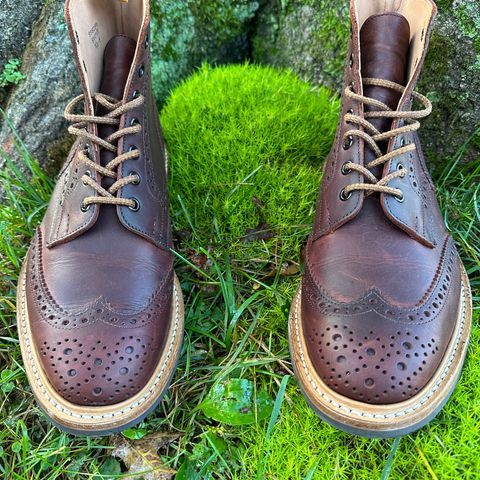 Tricker's Stow Country Boot in C.F. Stead Bordeaux Oiled Shoulder