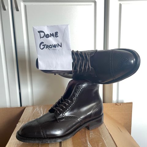 Alden Medallion Cap Toe Boot in Horween Color 8 Shell Cordovan