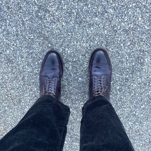 Alden Medallion Cap Toe Boot in Horween Color 8 Shell Cordovan
