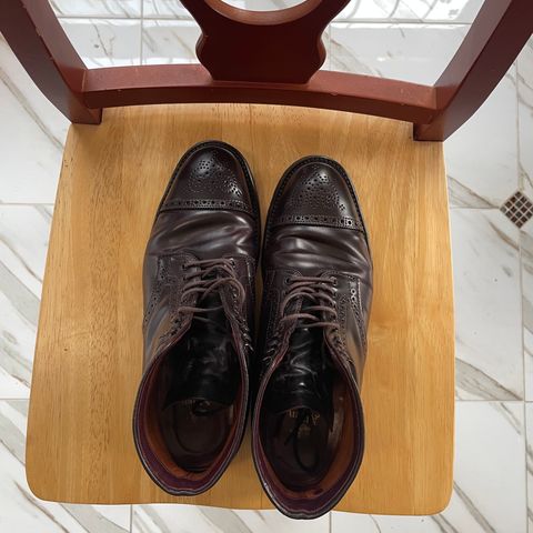 Alden Medallion Cap Toe Boot in Horween Color 8 Shell Cordovan