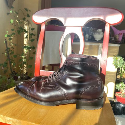 Alden Medallion Cap Toe Boot in Horween Color 8 Shell Cordovan