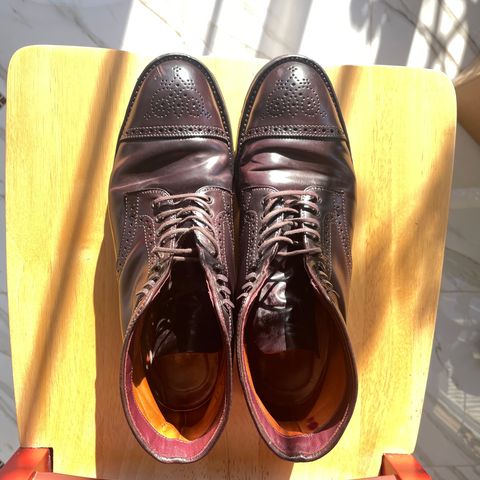 Alden Medallion Cap Toe Boot in Horween Color 8 Shell Cordovan