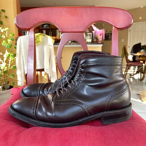 Alden Medallion Cap Toe Boot in Horween Color 8 Shell Cordovan