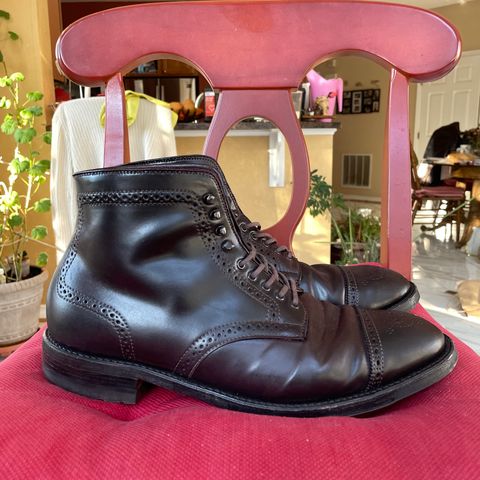 Alden Medallion Cap Toe Boot in Horween Color 8 Shell Cordovan