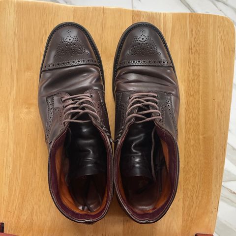 Alden Medallion Cap Toe Boot in Horween Color 8 Shell Cordovan