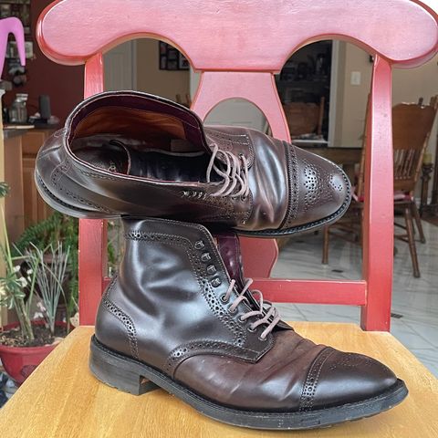 Alden Medallion Cap Toe Boot in Horween Color 8 Shell Cordovan