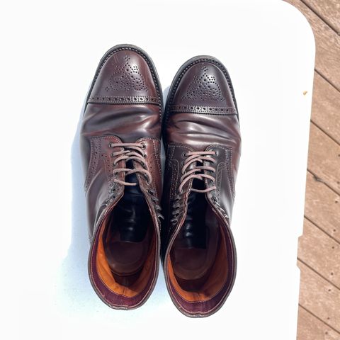 Alden Medallion Cap Toe Boot in Horween Color 8 Shell Cordovan