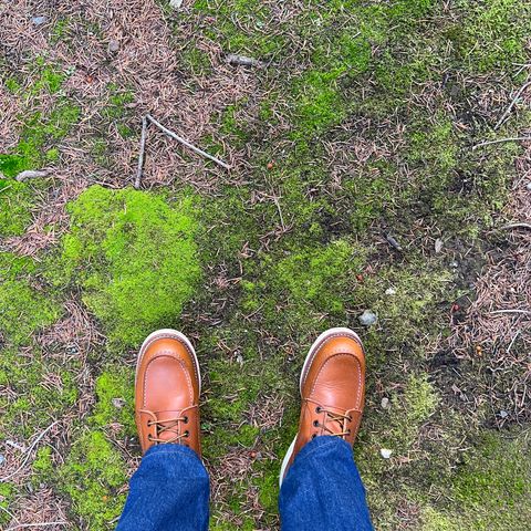 Red Wing 8-Inch Classic Moc in S.B. Foot Oro-Iginal