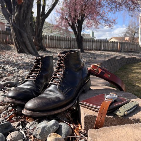 Viberg Service Boot in Maryam Black Horsebutt