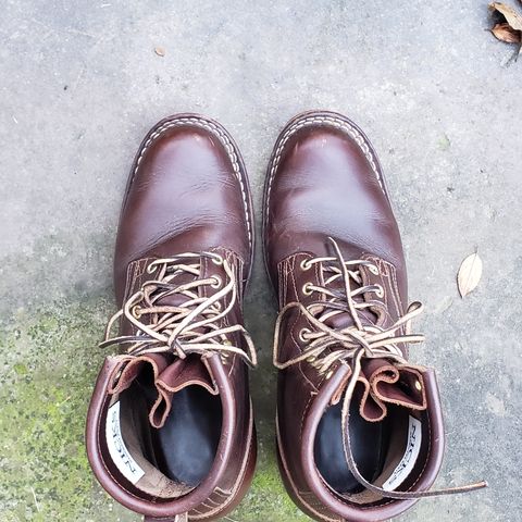 Nicks Robert in Horween Brown Chromexcel